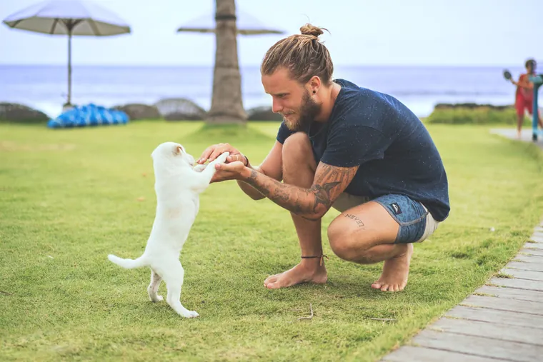 Hombre jugando con un cachorro en un parque