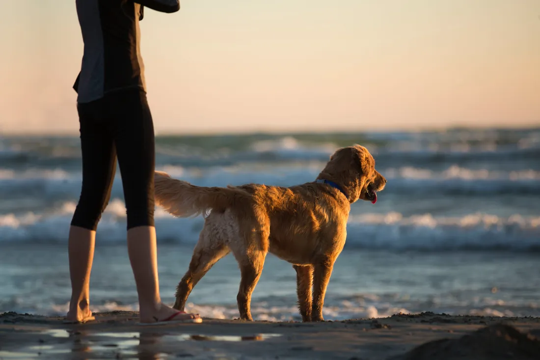 Mujer y su perro golden mirando el mar al atardecer